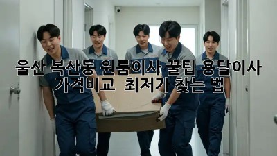 울산 복산동 원룸이사 꿀팁🍯: 용달이사 가격비교 & 최저가 찾는 법
