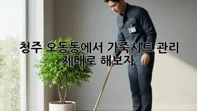 청주 오동동에서 가죽시트 관리, 제대로 해보자!
