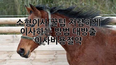소형이사 꿀팁🍯: 저렴하게 이사하는 방법 대방출! #이사비용절약