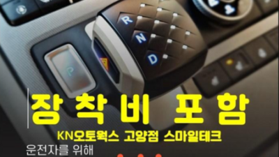 드디어 찾았다! 내 차에 딱 맞는 수동 기어봉 ✨